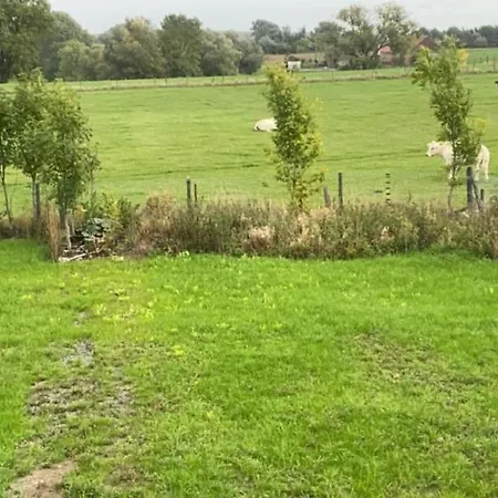 Alloggio in famiglia Confort