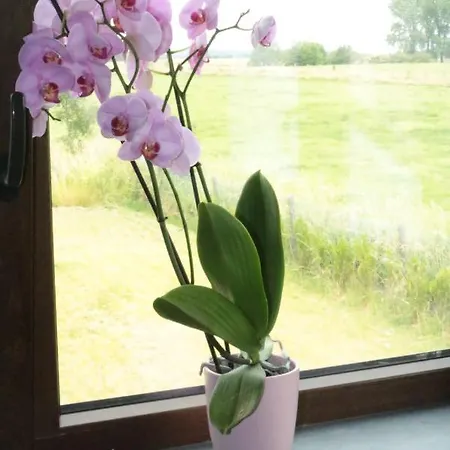 Homestay Confort Soignies